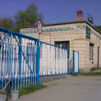 Пивоварня в Микулинцях (Brewery factory in Mikulintsy), Шумское