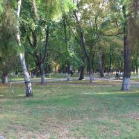 bogodukhiv park, Богодухов