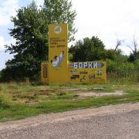 Поворотный знак на славное село Борки, Борки