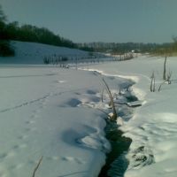 a River of Birky, Борки