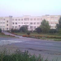 Школа им.Масельского., Валки