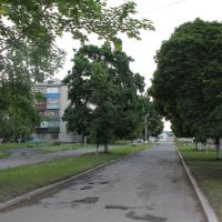 Дорога на завод, Новая Водолага