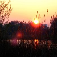 Рассвет на Комсомольском озере, Сахновщина