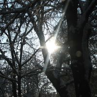 зимнее солнце / winter sun, Харьков