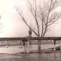 Старый мост, Мерефа