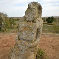 Cumanian statue, Аскания-Нова