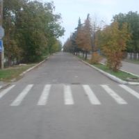 Suvorova street, Нововоронцовка
