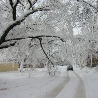 Зима, Херсон