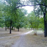 В парке Ленинского комсомола, Херсон