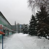 Зима, Цюрупинск