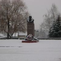 Центральна площа (памятник Т.Г. Шевченку), Виньковцы
