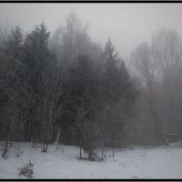 frosty morning, Волочиск