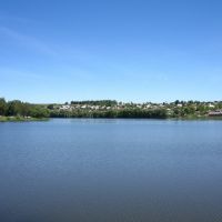 Pond, Городок