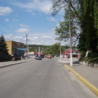 Horodok. Street view. May, 2011, Городок