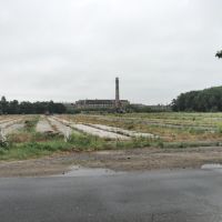 Вид на сахарный завод через зарастающее кагатное поле. Район Виктория., Городок