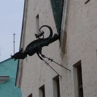 A dragon, Каменец-Подольский