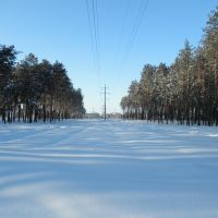 Сонячний зимовий день Вінницька ЛЕП, Славута