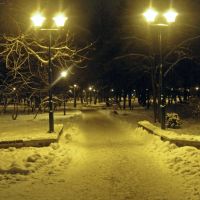 Park at night  /  Ночью в парке, Хмельницкий