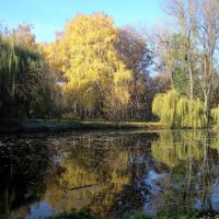Reflection - Walk in the autumn park, Хмельницкий