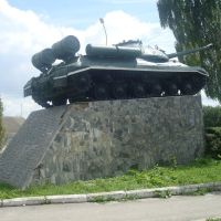 Танк-освободитель в Чемеровцах, Чемеровцы