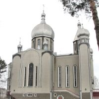 Левая сторона Свято-Михайловского кафедрального собора. Вид на юг., Шепетовка