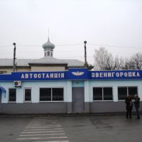 Автовокзал, Звенигородка