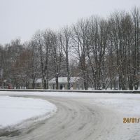 Зимовий парк, Шпола