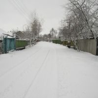 Зимняя дорога, Борзна