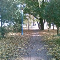 парк, Варва