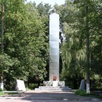 Memorial, Вертиевка