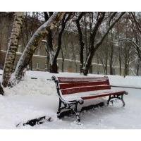 bench, Чернигов