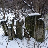 Старий єврейський цвинтар / Jewish Cemetery, Вижница