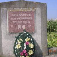 Mass grave of 839 jews, massacred by romanian soldiers, On 5 July 1941- Novoselytsia, Новоселица