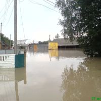 Наводнение2008, Новоселица