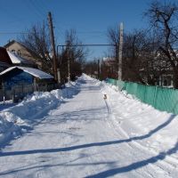 Зима на моей улице, Сокиряны