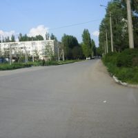 The Road from the Karkinitsky Bay, Армянск