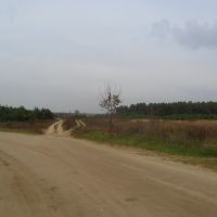 Дорога в с.Хоросница / The road to the village Horosnitsa, Береговое