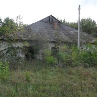 Заброшенный дом около жд. станции Хоросница / Abandoned house near the railway station Horosnitsa, Береговое
