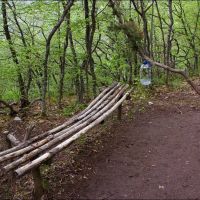 A bench on the trail to Kizil-Tash/Скамья на тропе в Кизил-Таш, Краснокаменка