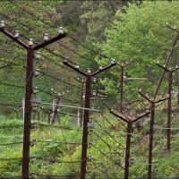 Kizil-Tash. Wire fences of the former nuclear plant, Краснокаменка