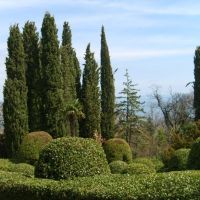 Yalta/Livadia sarayı bahçesi, Ливадия