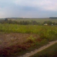 fields near Voronovitsa, Вороновица