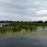 Озеро перед початком р.Жердь (район старої водокачки), Калиновка