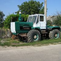 ►Вечный трактор, Крыжополь