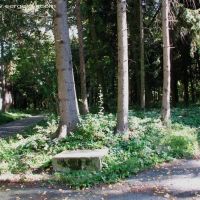 Nemiriv Park 24, Немиров