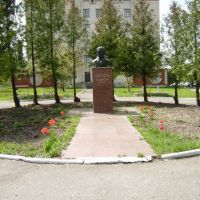 Памятник ім.Пирогова, Оратов