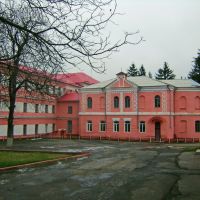 Школа - интернат(бывш. женское епархиальное  училище), Тульчин