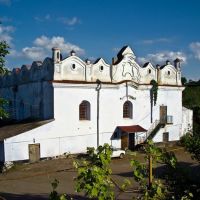 Шаргородська синагога, Шаргород