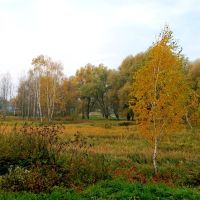 Парк Словянский-пойма реки Луга., Владимир-Волынский