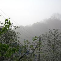 ранковий туман, Горохов